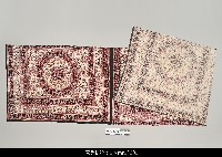 藏品(印度傀儡舞台布)的圖片